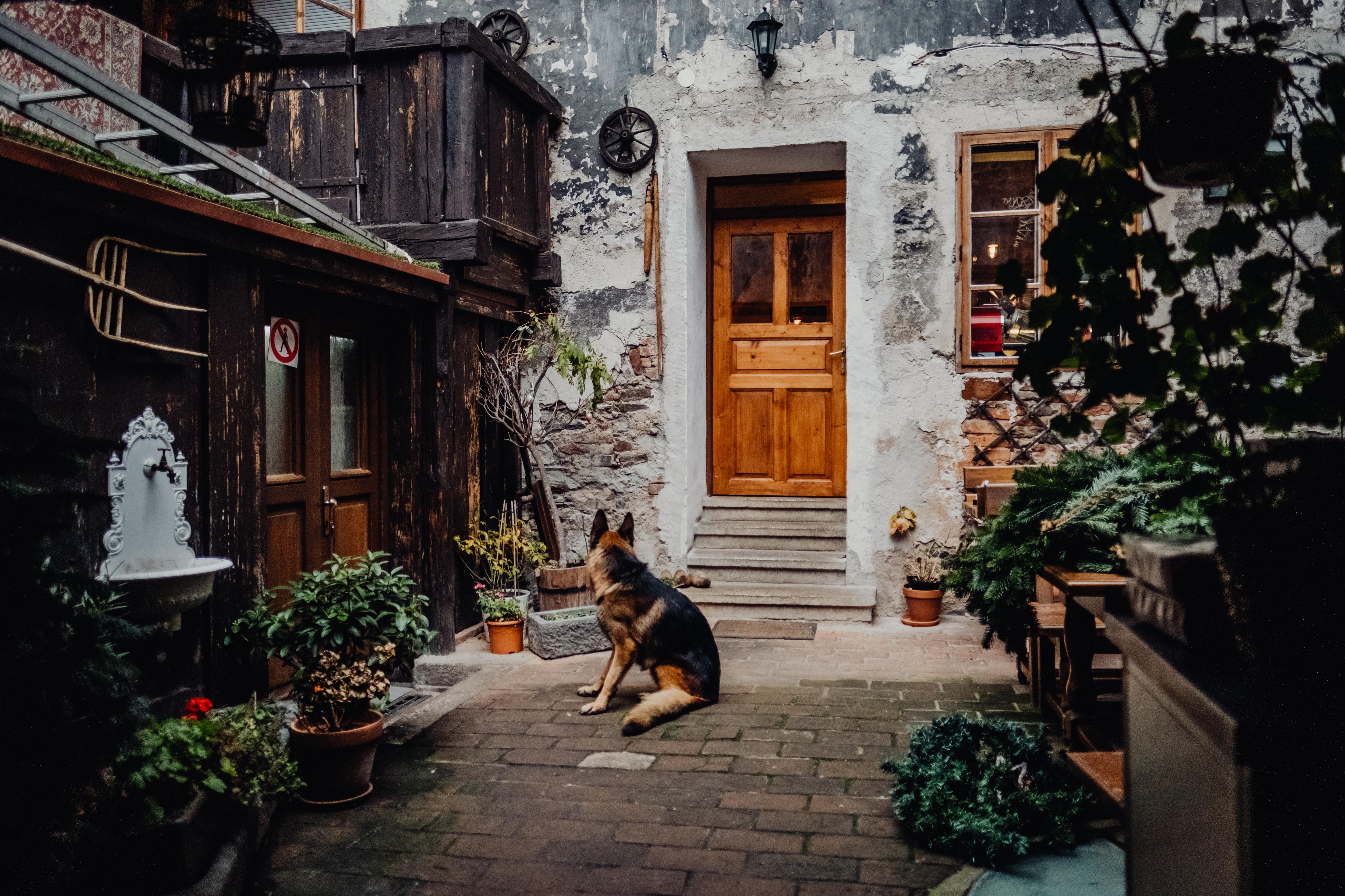 Krumlovska Pohadka Český Krumlov Eksteriør billede